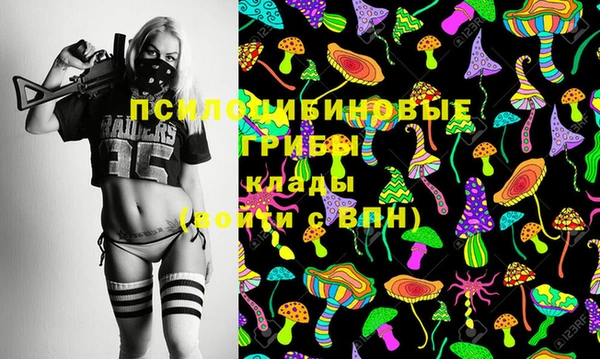 таблы Алексеевка