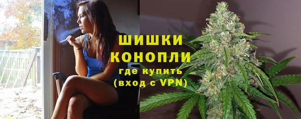 сатива Абинск