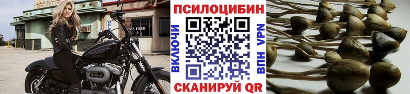 Псилоцибиновые грибы ЛСД  omg ССЫЛКА  Приозерск 